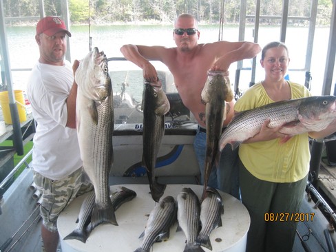 Nice Striped Bass